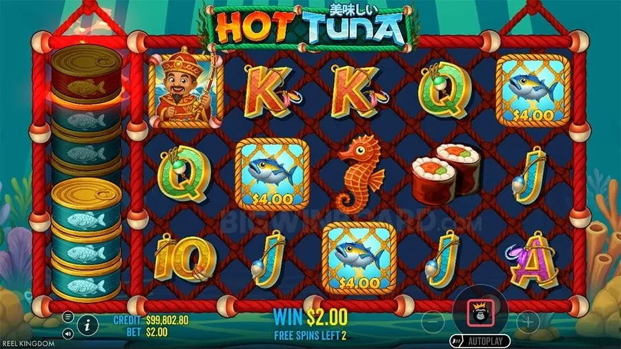 phdream Craps Betting Explained